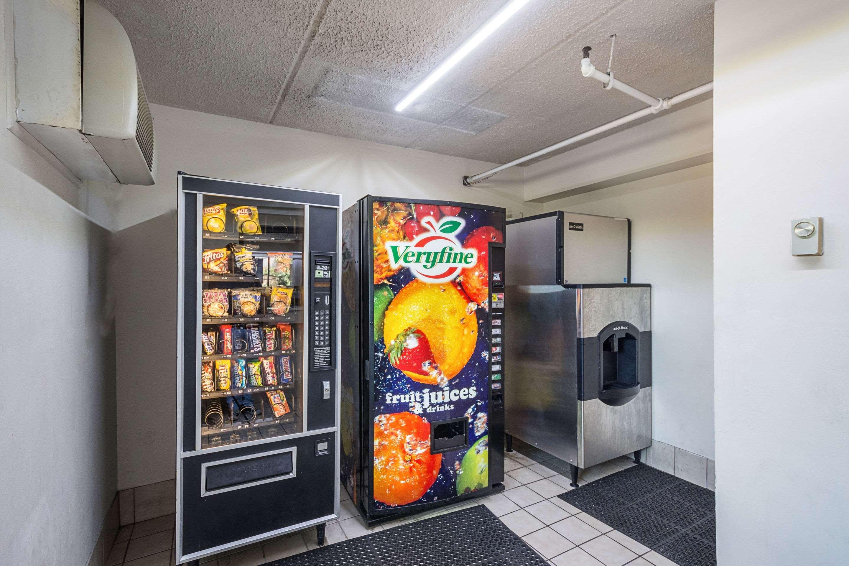 坦帕-近布希花园-Usf罗德威酒店 外观 照片